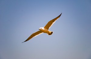 DSC_0660.jpg